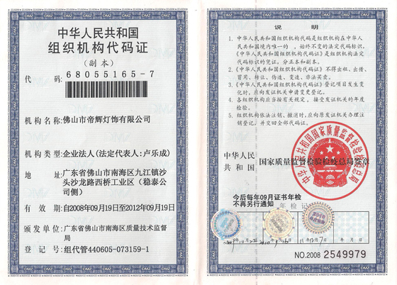 帝輝組織機構(gòu)證書 