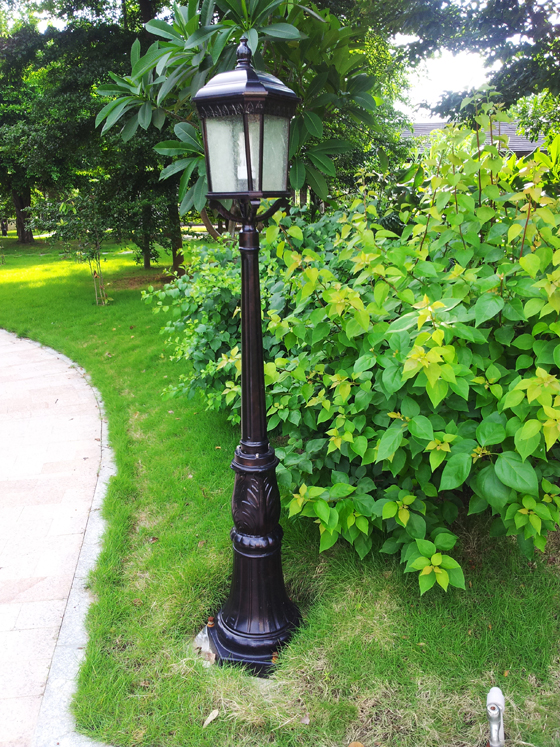 南海龍?zhí)锞频旯芾碛邢薰? width=