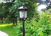 南海龍?zhí)锞频旯芾碛邢薰? /></a></dt>
                                <dd>
                                    <a href=